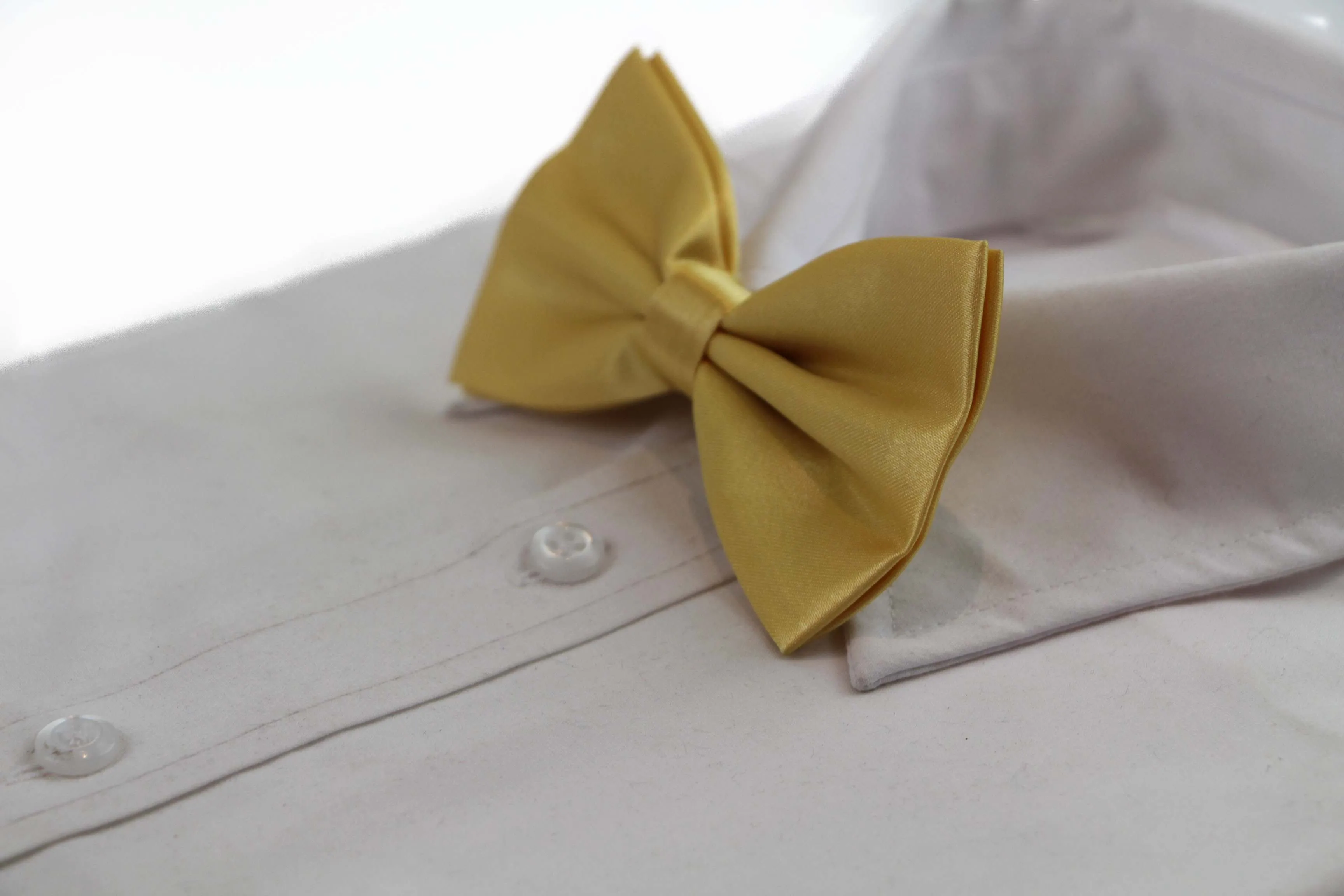 Mens Yellow Gold Solid Plain Colour Bow Tie