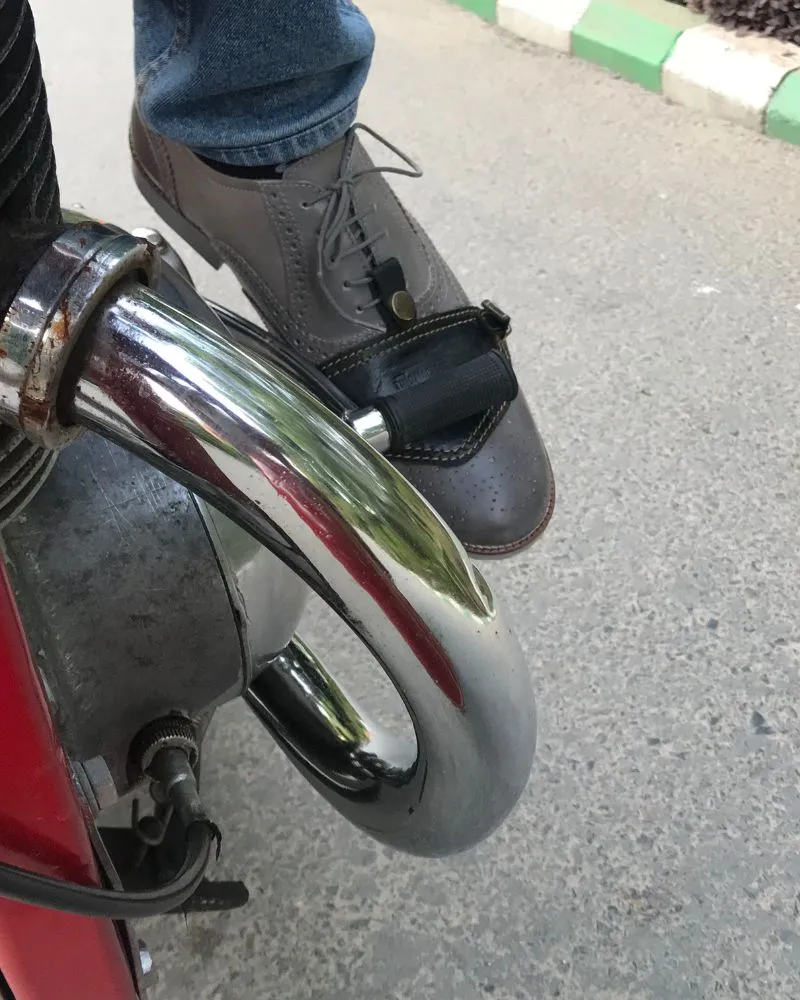 shoe protector classic
